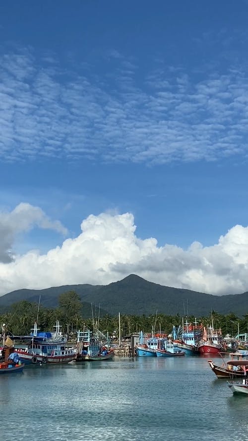 有关交通系统, 停泊, 垂直视频的免费素材视频