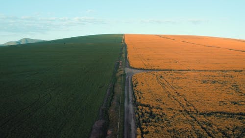 有关土地, 天性, 弹簧的免费素材视频