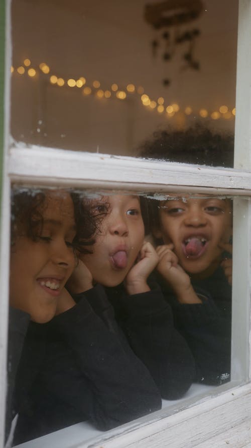 有关atmosfera de outono, facebook的故事, instagram故事的免费素材视频