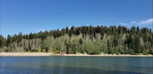 有关天性, 天空, 岸边的免费素材视频