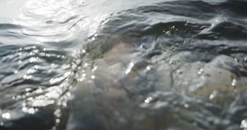 有关出, 女人, 女性的免费素材视频