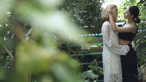 有关LGBTQ, 一起, 公园的免费素材视频