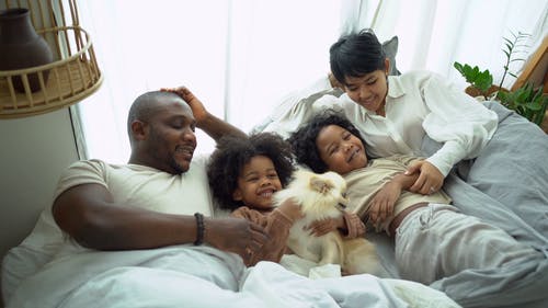 有关一起, 在家, 床的免费素材视频