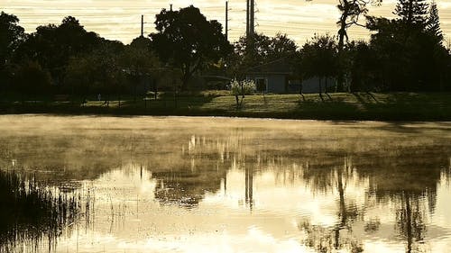 有关天性, 宁静, 有雾的免费素材视频