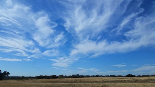 有关天性, 天空, 日落的免费素材视频