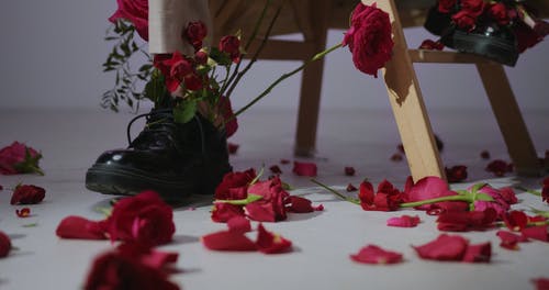 有关不露面, 凳子, 分公司的免费素材视频