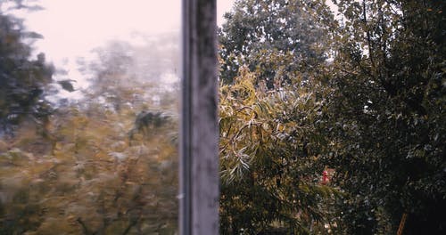 有关atmosfera de outono, 下雨, 下雨天的免费素材视频
