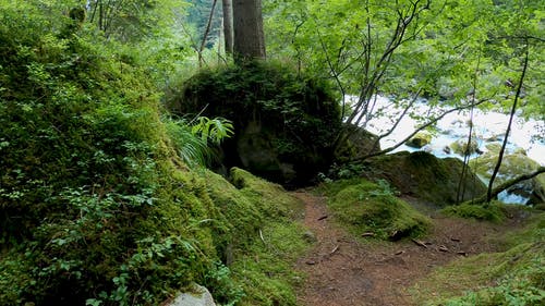 有关农村, 天性, 岩石的免费素材视频