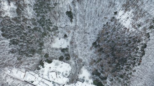 有关下雪, 冬季, 冻结的的免费素材视频