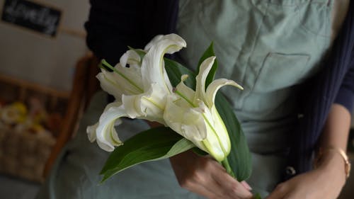 有关干, 手, 握住的免费素材视频