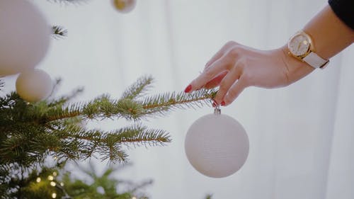 有关假日季节, 女手, 室内的免费素材视频