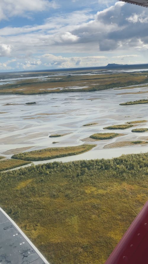 有关垂直视频, 天性, 户外的免费素材视频