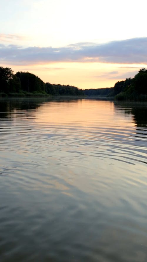 有关垂直视频, 天性, 天空的免费素材视频