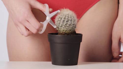 有关内衣, 切割, 刮胡子的免费素材视频