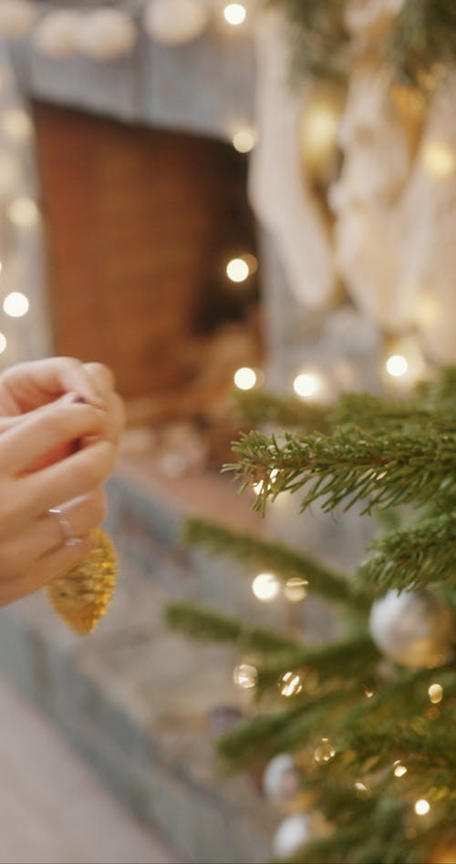 有关假日, 垂直视频, 庆祝的免费素材视频