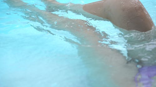 有关分裂, 埋, 墨镜的免费素材视频