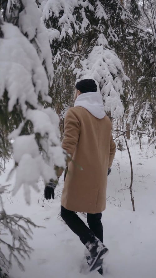 有关下雪的, 人, 冬季的免费素材视频