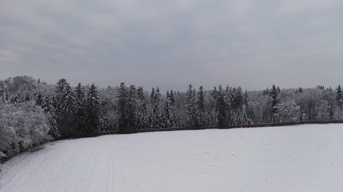 有关冬季, 土地, 大雪覆盖的免费素材视频