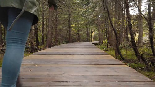 有关天性, 後视图, 徒步旅行的免费素材视频