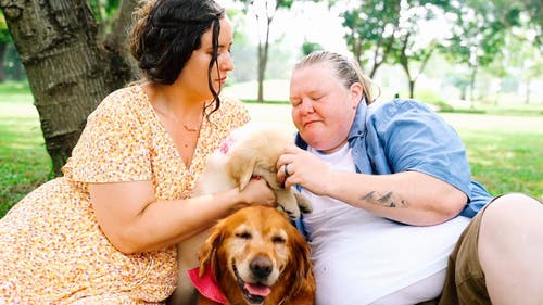 有关一对, 动物爱好者, 可爱的免费素材视频