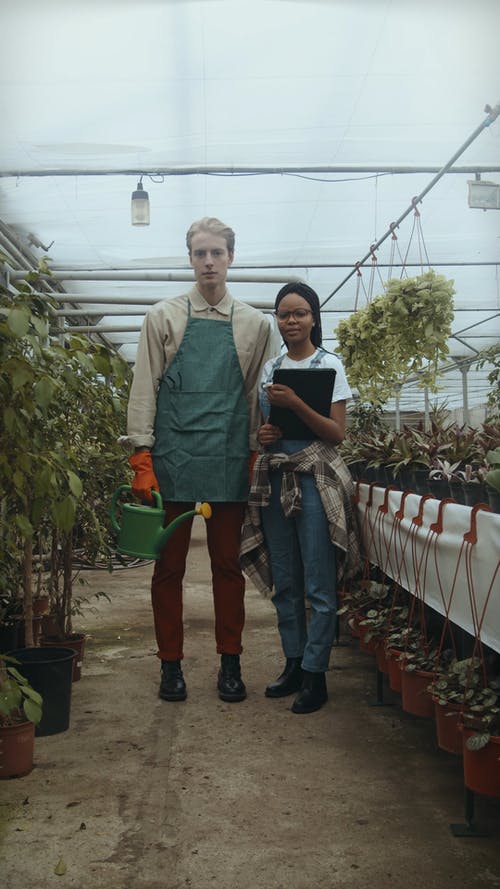 有关乳胶手套, 园丁, 围裙的免费素材视频