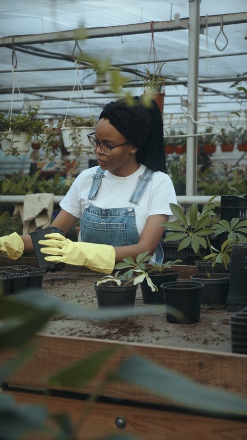 有关保重, 土, 垂直视频的免费素材视频