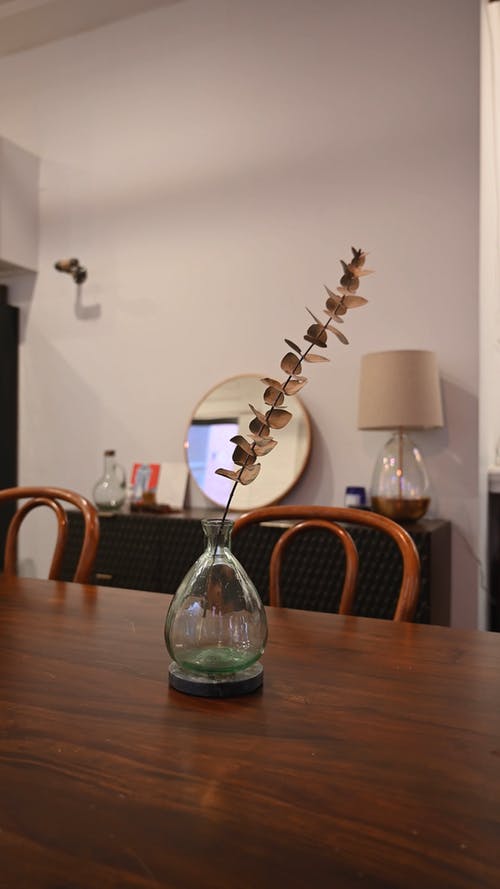 有关垂直视频, 尤加利树, 树叶的免费素材视频