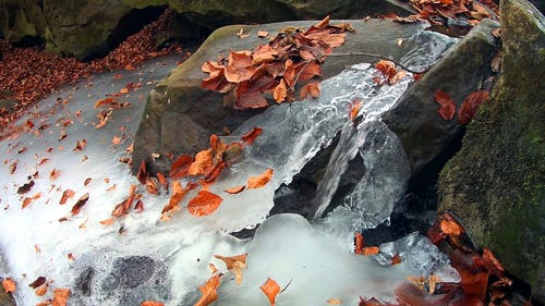 有关冬季, 冰, 冻结的的免费素材视频