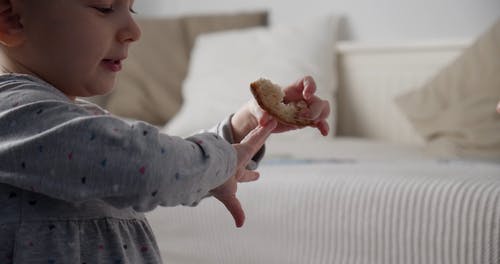 有关一起, 可爱, 吃的免费素材视频