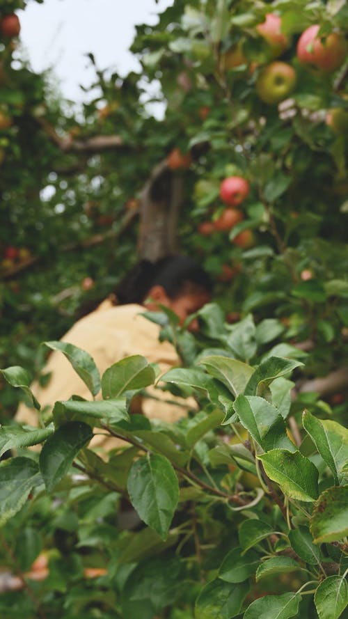 有关垂直视频, 女孩, 年轻的免费素材视频
