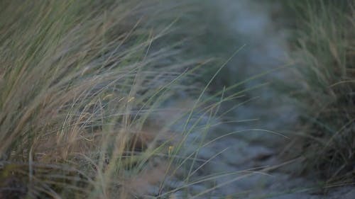 有关人, 尺, 尘土的免费素材视频