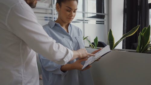 有关人, 同事, 多样化的免费素材视频