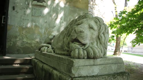 有关利沃夫, 放下, 狮子的免费素材视频