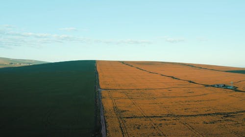 有关土地, 天性, 弹簧的免费素材视频