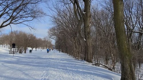 有关下雪的天气, 冬季, 冷的免费素材视频