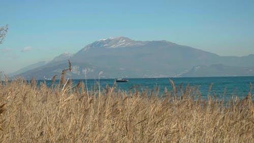 有关4k, 加尔达湖, 天性的免费素材视频