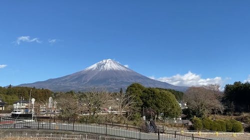 有关低角度拍摄, 天性, 天空的免费素材视频