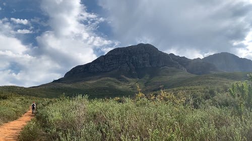 有关天性, 户外, 日光的免费素材视频