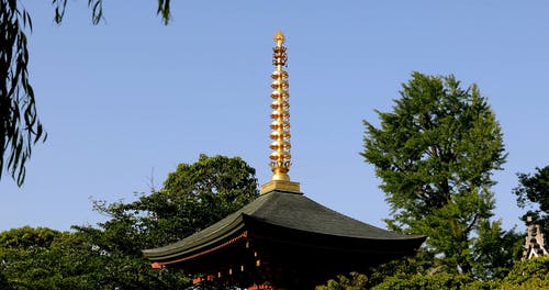 有关テンプロ浅草寺, 低角度, 低角度拍摄的免费素材视频