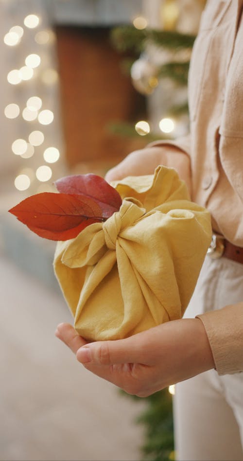 有关垂直视频, 家, 布的免费素材视频