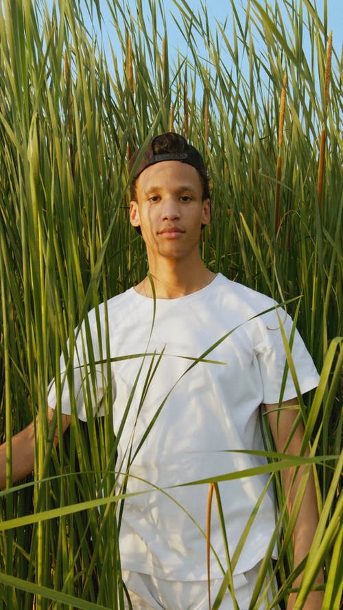 有关垂直视频, 天空, 帽子的免费素材视频