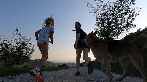 有关低角度拍摄, 剪影, 女孩的免费素材视频