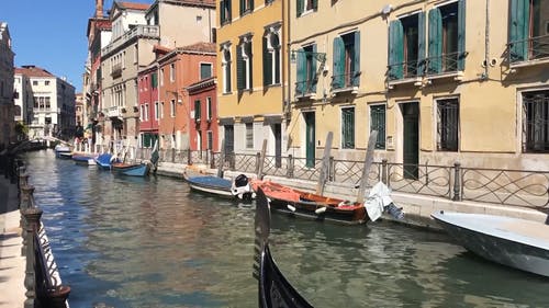 有关威尼斯, 户外, 旅行的免费素材视频