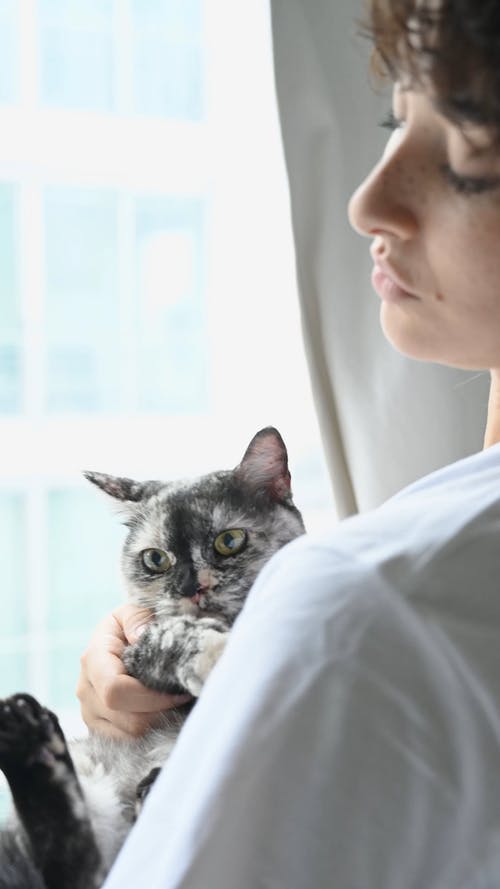 女人拥抱她的猫 · 免费素材视频