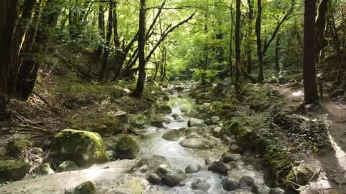 有关丘陵, 夏天, 天性的免费素材视频