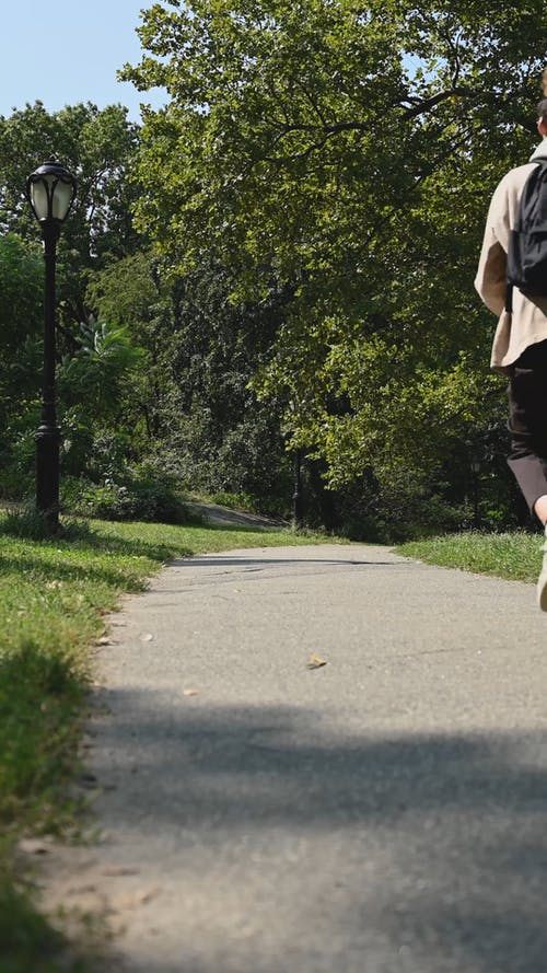 有关公园背景, 垂直视频, 小径的免费素材视频