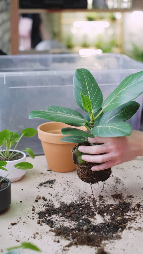 有关人, 土, 垂直视频的免费素材视频