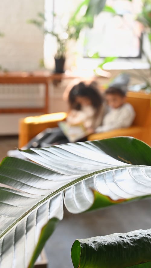有关＃室内, 兄弟姐妹, 坐的免费素材视频