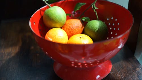 有关人, 把, 柑橘的免费素材视频