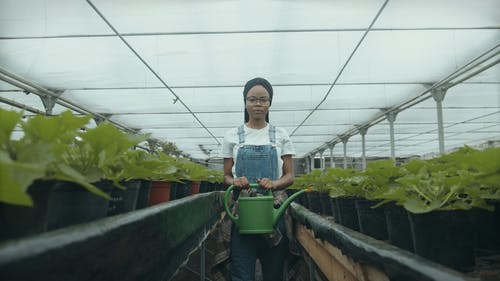 有关修剪花草, 全景, 喷壶的免费素材视频